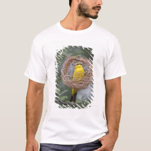 T-shirts África. Tanzânia. Tecelão-de-pescoço-preto fêmea