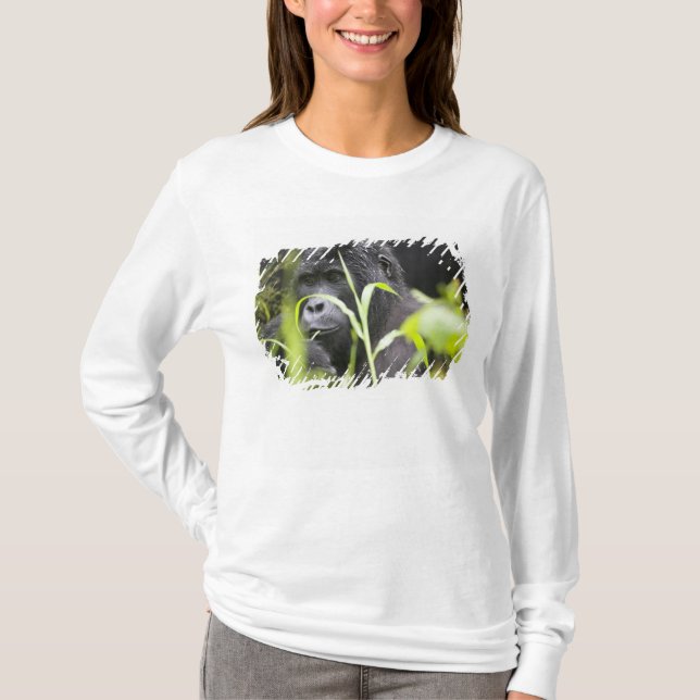T-shirts África Uganda, Bwindi (Frente)