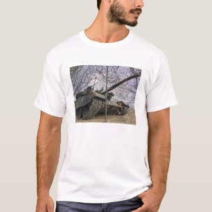 T-shirts Agressores trocistas de República da Coreia 2