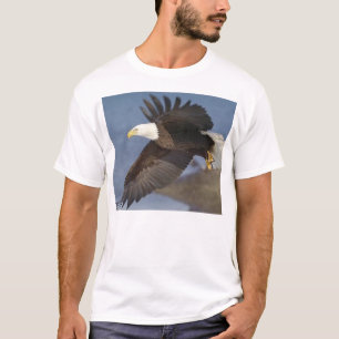 T-shirts águia