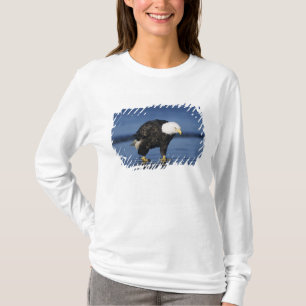 T-shirts Águia Americana