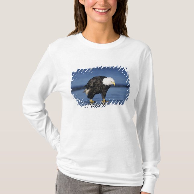 T-shirts Águia Americana (Frente)