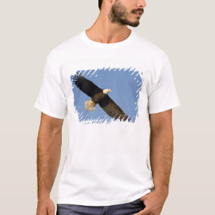 T-shirts Águia Americana, Haliaeetus leucocephalus, Homer,