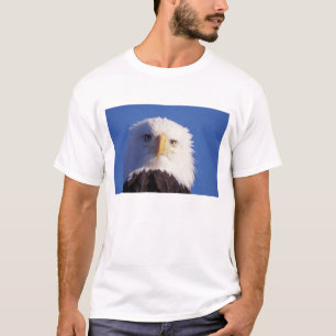 T-shirts águia-careca, Haliaeetus leucocephalus, cabeça aba