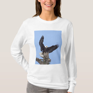 T-shirts Águia-careca (Haliaeetus leucocephalus) com asas