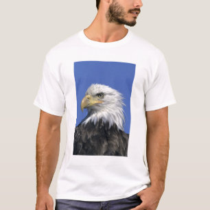 T-shirts Águia-careca, (Haliaeetus leucocephalus), selvagem