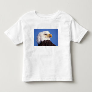 T-shirts águia-pescadora-americana, Haliaeetus leucocephalu