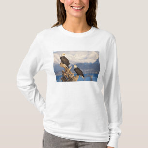 T-shirts águia-pescadora, Haliaeetus leuccocephalus, casal