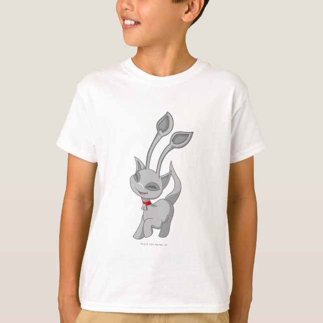 T-shirts Aisha Silver (Frente)