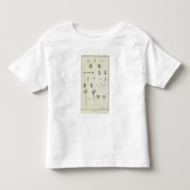 T-shirts Alaska 3 (Frente)