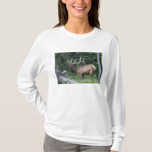 T-shirts Alce bugling no Parque Nacional Banff, Canadá.
