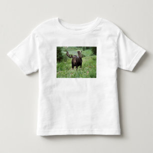 T-shirts Alce macho Alces alces) em flores silvestres,