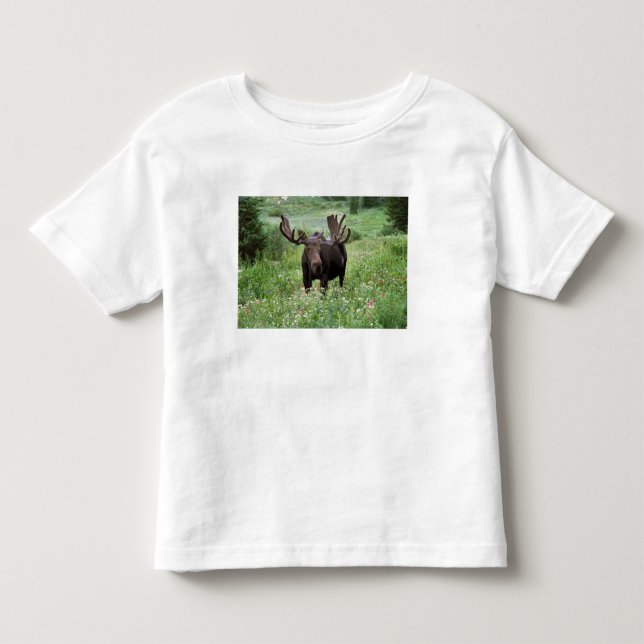 T-shirts Alce macho Alces alces) em flores silvestres, (Frente)