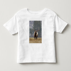T-shirts Alce macho buglando, Yellowstone NP, Wyoming 2