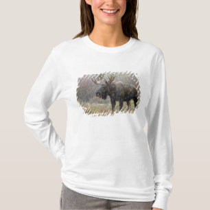 T-shirts Alce macho em tempestade de neve com árvores de ál