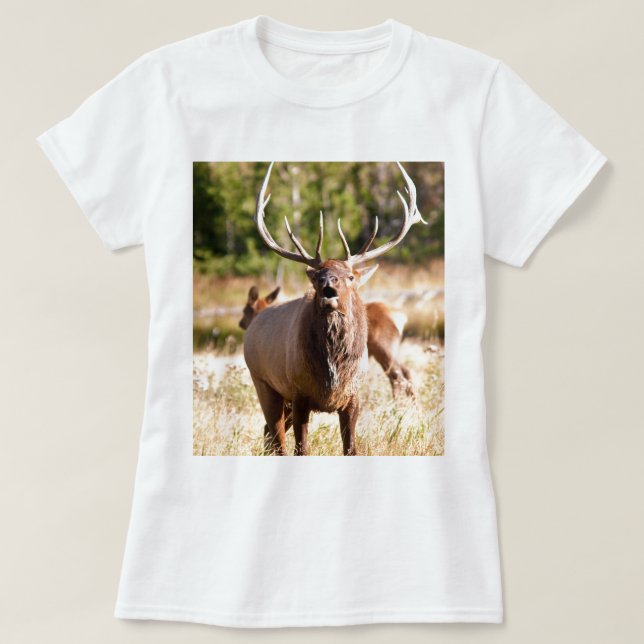 T-shirts Alces Bugling (Frente do Design)