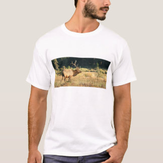 T-shirts Alces de Bull no parque da montanha rochosa