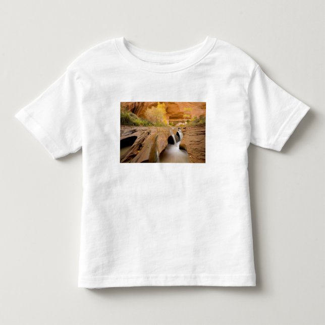 T-shirts Algodões no Outono, Coyote Gulch, Glen (Frente)