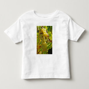 T-shirts Alguns Chasselas na vinha - plantados há muito tem