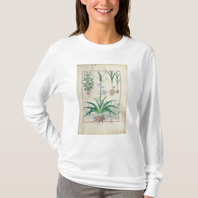 T-shirts Alho e outras plantas (Frente)