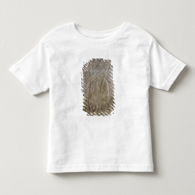T-shirts Alivio que descreve um génio voado (Frente)