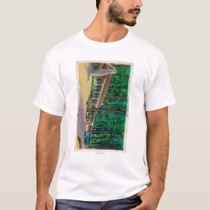 T-shirts Alojamento grande das árvores no bosque de