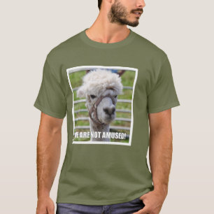 T-shirts Alpaca irritada