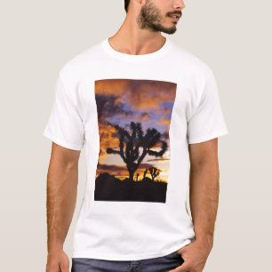 T-shirts Amanhecer Espectacular no Parque Nacional Joshua T