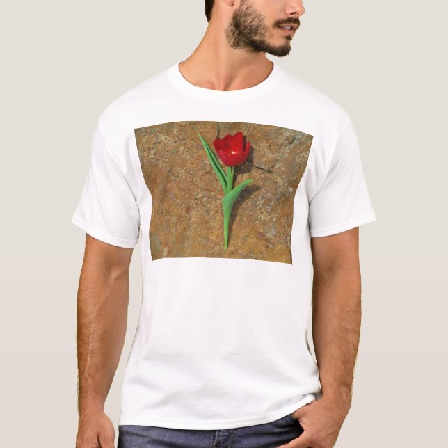 T-shirts amarelo e Red Tulip (Frente)