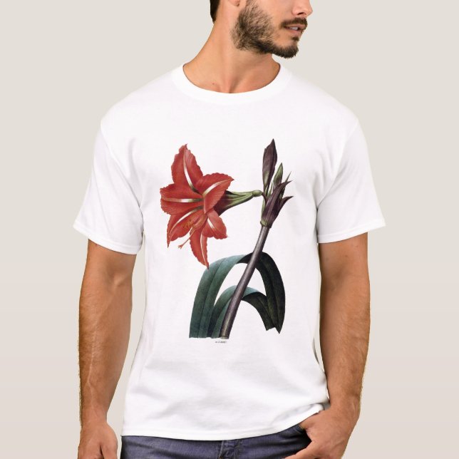 T-shirts Amaryllis listrado (Frente)