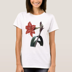 T-shirts Amaryllis listrado