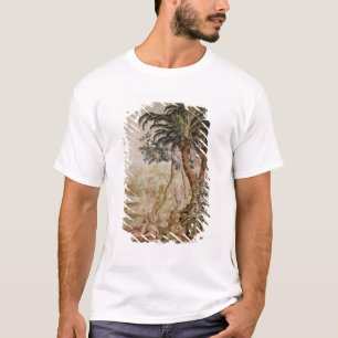 T-shirts América, de quatro cantos do mundo