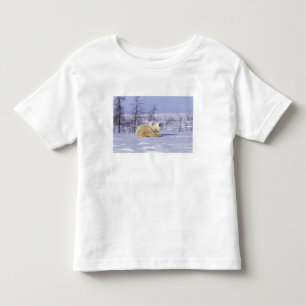 T-shirts América do Norte, Canadá, Manitoba, Churchill. 9