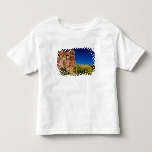 T-shirts América do Norte, EUA, Arizona, Navajo Indiano 3