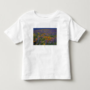 T-shirts América do Norte, EUA, Califórnia, Los Angeles 2