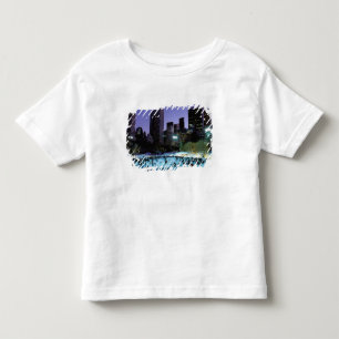 T-shirts América do Norte, EUA, Nova York, Cidade de Nova Y