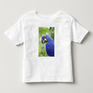 T-shirts América do Sul, Brasil, Pantanal