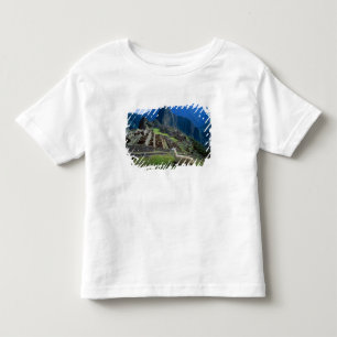 T-shirts América do Sul, Peru. Uma lhama descansa em uma co
