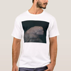 T-shirts amigo a beluga