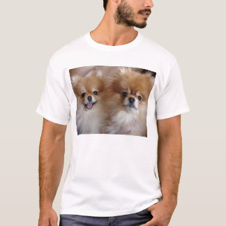 T-shirts Amigos de Pomeranian