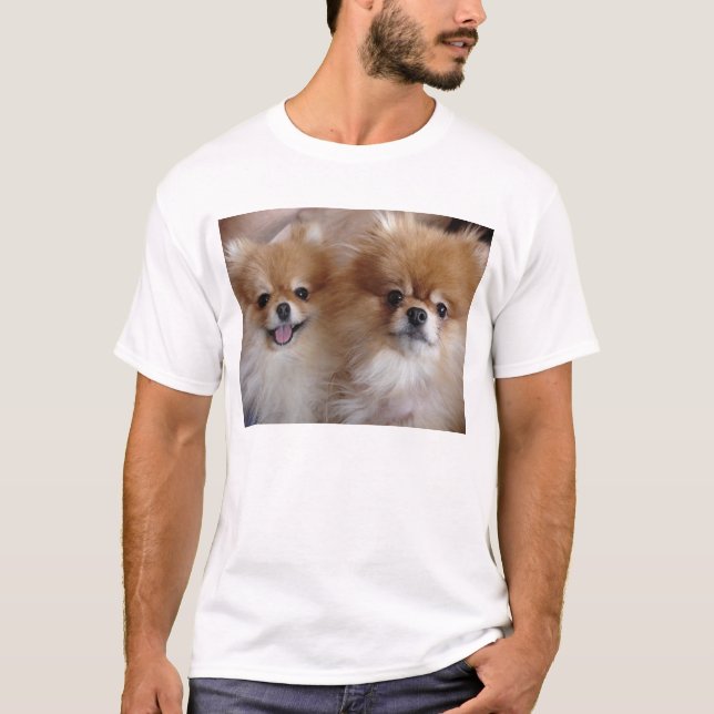 T-shirts Amigos de Pomeranian (Frente)