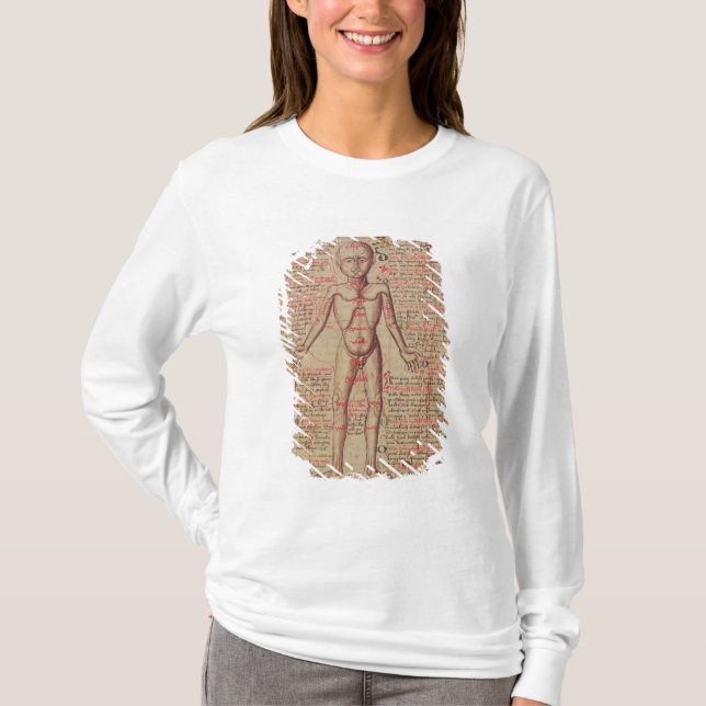 T-shirts Anatomia do corpo humano (Frente)