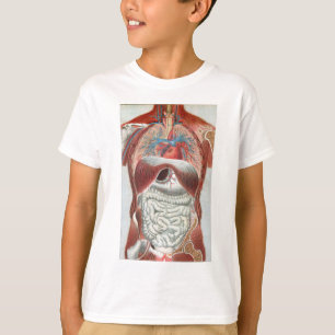 T-shirts Anatomia do corpo humano