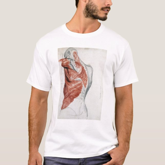 T-shirts Anatomia humana; Músculos do torso e do ombro (Frente)