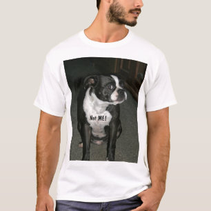 T-shirts Anjo do Innocent de Boston Terrier