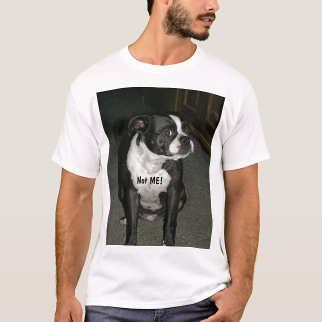 T-shirts Anjo do Innocent de Boston Terrier (Frente)