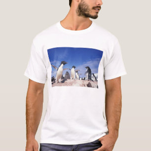 T-shirts Antártica, Adelie Penguin Pygoscelis