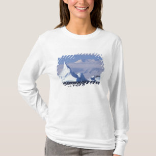 T-shirts Antártica, Ilha Boothe, Sol da tarde