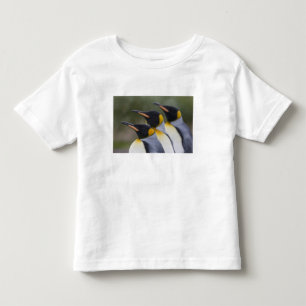 T-shirts Antártica, Ilha da Geórgia do Sul (Reino Unido), R
