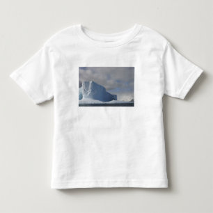 T-shirts Antártida, Estreito de Bransfield, Sol da tarde 2